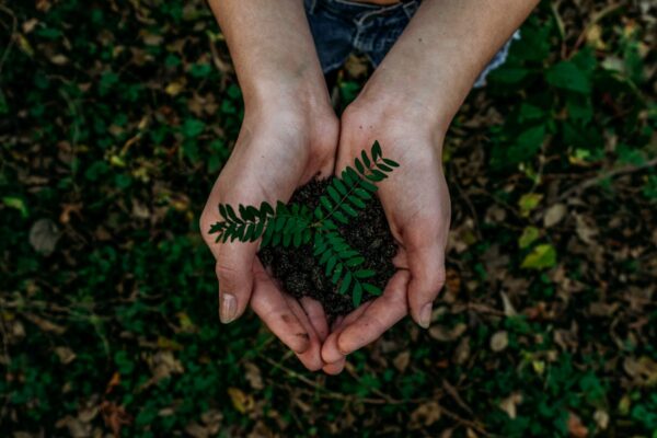 Recycled Paper vs Virgin Paper: Which Should You Choose?