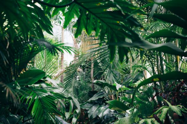 Spring Print: Getting Your Seasonal Marketing Ready
