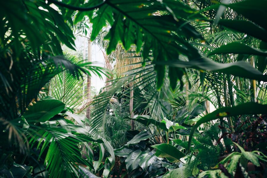 Spring Print: Getting Your Seasonal Marketing Ready
